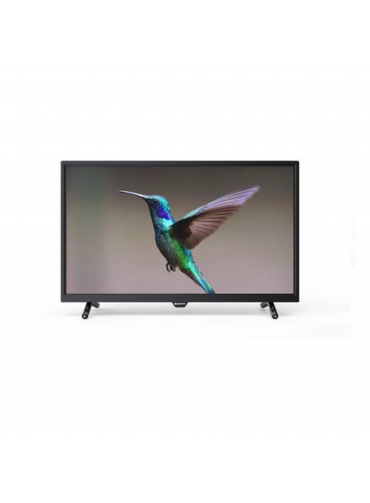 Лед телевизор LH200117